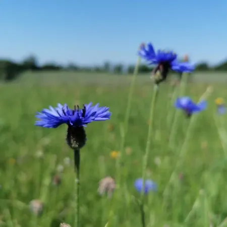Le Temps Serene Дом отдыха Vabre-Tizac