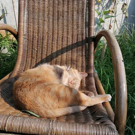 Дом отдыха Le Temps Serene *