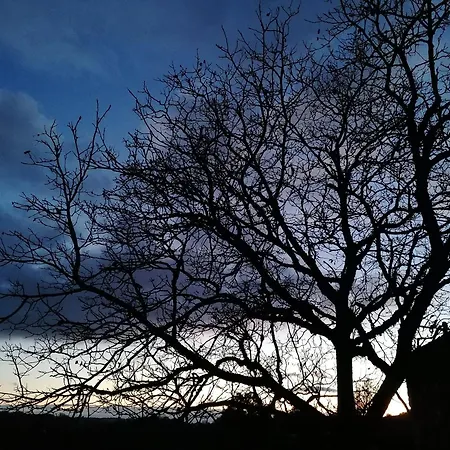 Le Temps Serene *