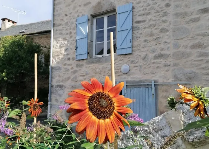 Le Temps Serene Дом отдыха *