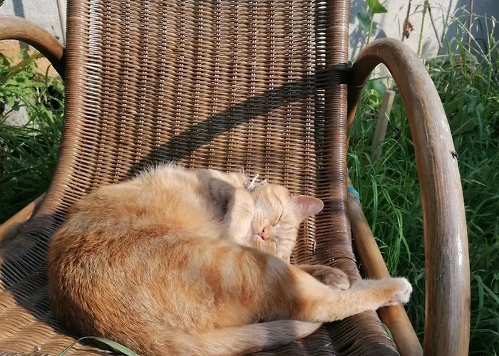 Дом отдыха Le Temps Serene *